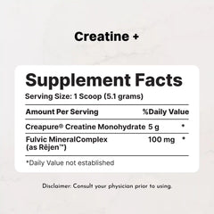 Workout Routine Bundle