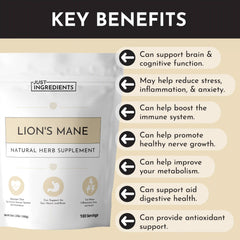 Organic Lion's Mane Powder - 100g